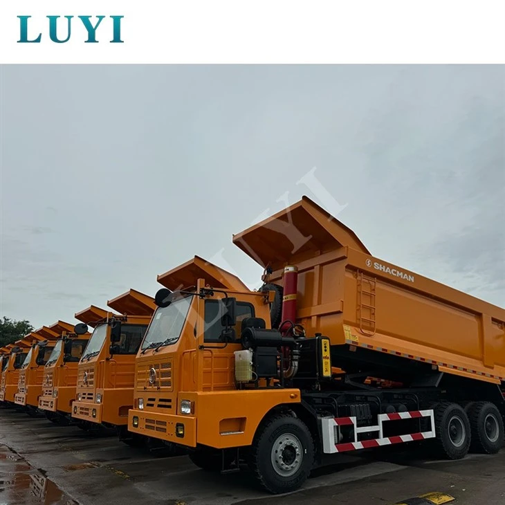 China 6*4 10 Wheels SHACMAN Winning Dump Truck Rated Load Quality 90 Tons Off-highway Transportation Factory Direct Outlet